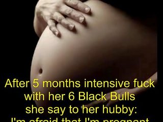Terhes -től fekete bika