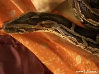 Bollywood nudes: kecil molek damsel mengusik dengan ular bollywood gaya