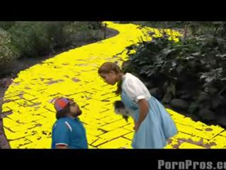 Dorothy perse põrkab koos a witch!